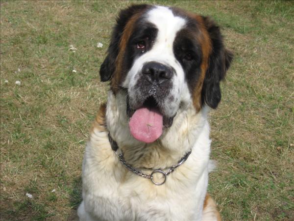 28 juli 2010 028.jpg