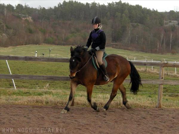 Provridning av Buster