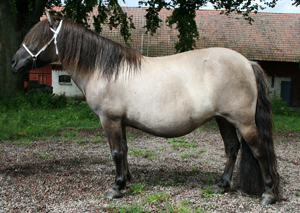 wilma_nossebro09.jpg