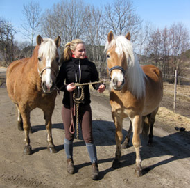 bild1.jpg