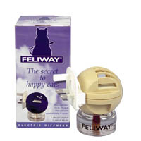 FELIWAYBILD.jpg