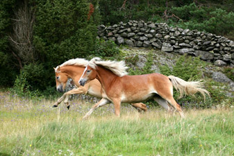 bild2.jpg