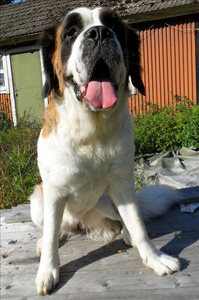 Bild 3.jpg