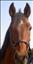 Bild på Kajhugo