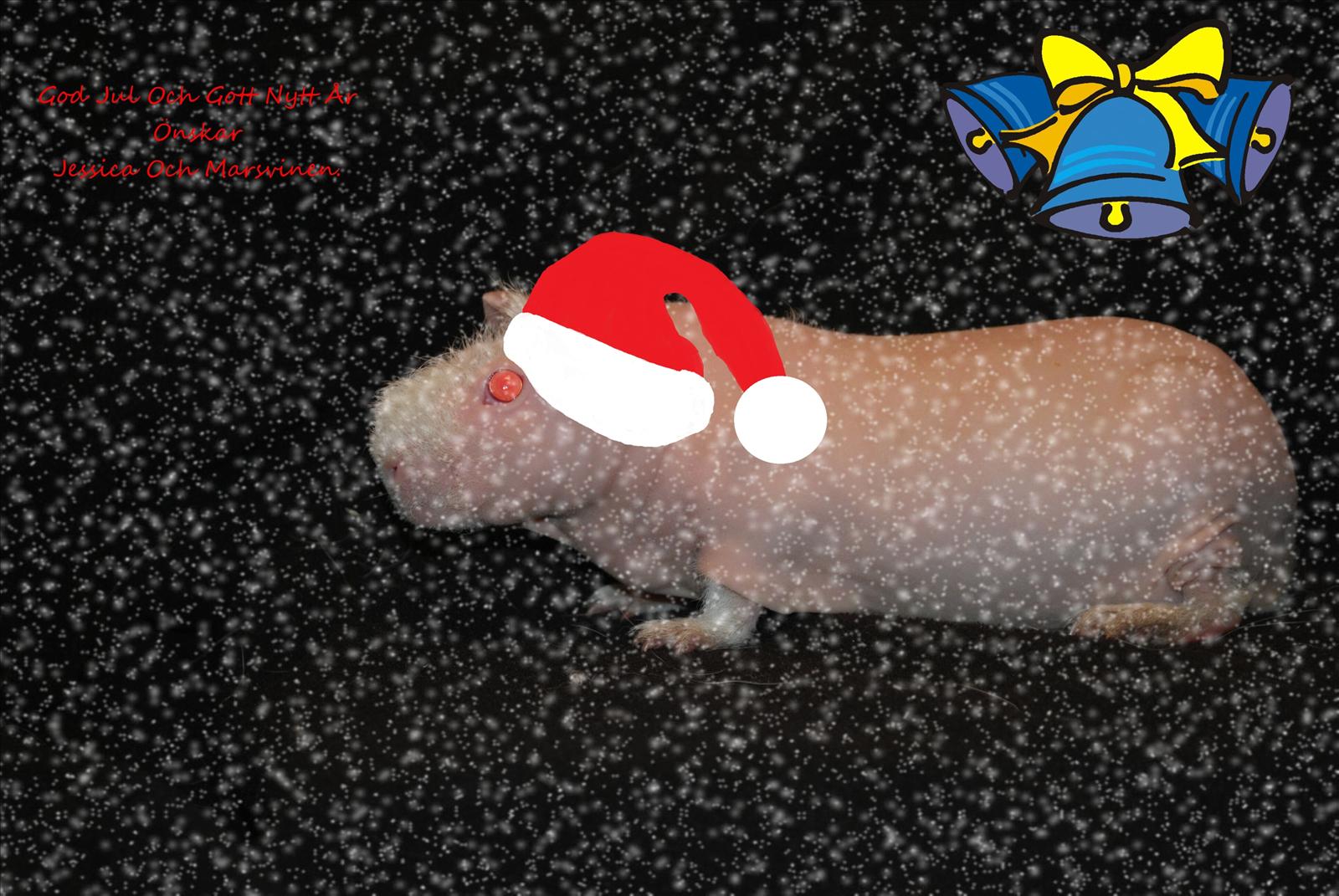 God Jul och gott nytt år!