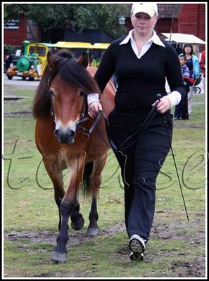 Tejas Musseron Guldruss 2007