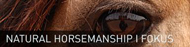 naturalhorsemanship.jpg