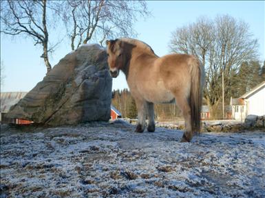fiona0109.JPG
