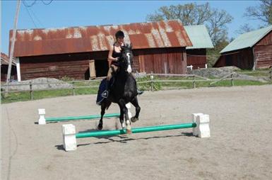 GALOPP