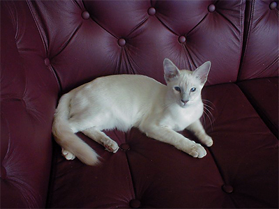 583.jpg