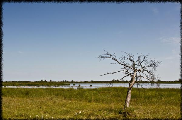 GR7.jpg