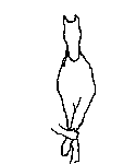 12.gif