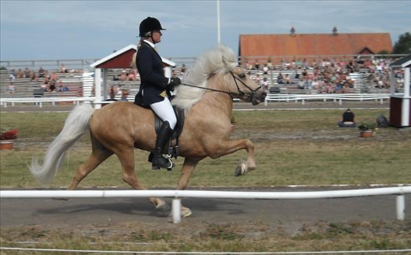 BILD1.jpg