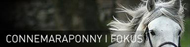 connemara.jpg
