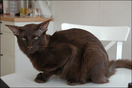 Casper 1.jpg