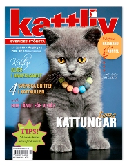 kattliv_3_2010.jpg