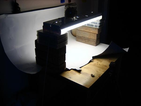 2008-04-06 541.2.JPG