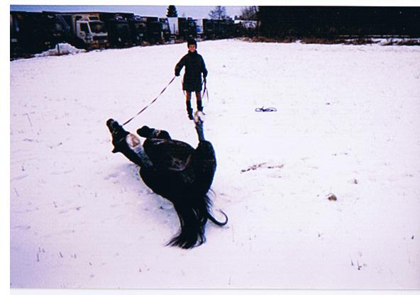 rulla i snön.jpg