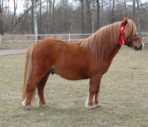 alvasens_viking_hp09.jpg