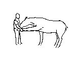 6.gif
