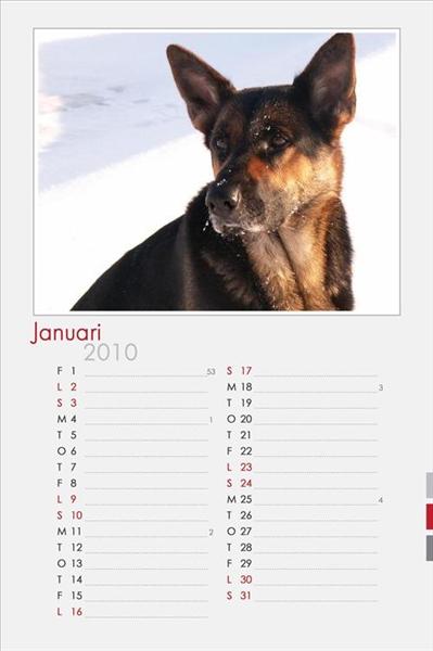 Januari.jpg