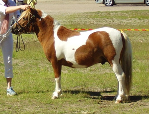 kapplinge_victory_malmk09.jpg