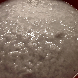 DSCF0916.JPG