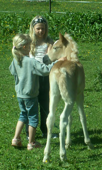 bild7.jpg