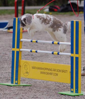 Foto: Hannah Öhrman