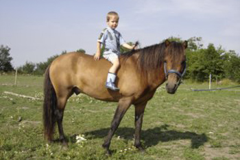 Foto & copyright: ägaren
