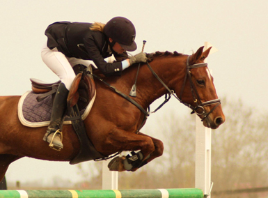 Foto: Tove Fant