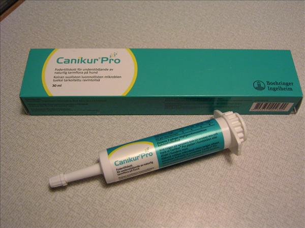 canicur m.m 003.JPG
