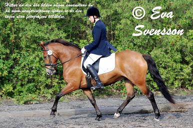 Idyllens Qackadua liten.JPG