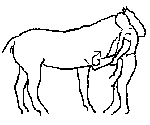 10.gif