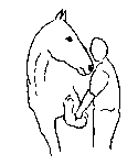 8.gif