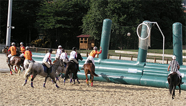 horseball2.jpg