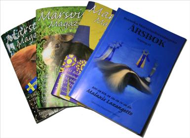 Marsvins Magazinet kommer ut 6 gånger om året. Årsboken kommer en gång om året.