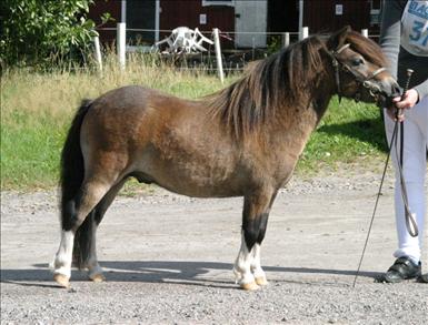 Fairyking_ 027_600.jpg