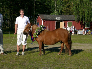 hamras_jelena_malmk09.JPG