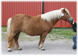 junibackens_molly_fargelanda09.jpg