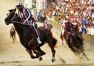 palio2.jpg