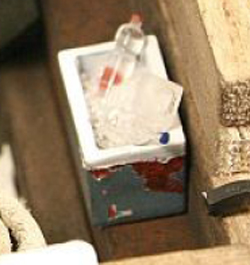 Ice Box.jpg