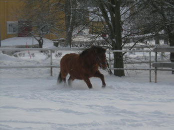 bild-21.jpg