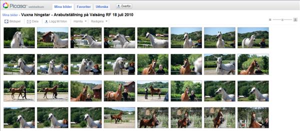 Google Picasa-album
