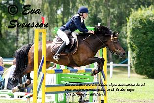 Hembys Sapfo