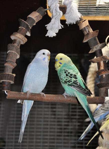 Egon och Vienna.JPG