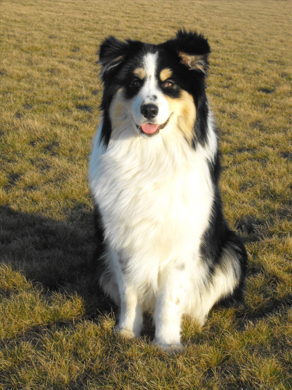 Månadstävling april 2009