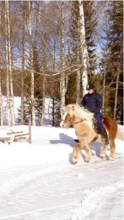Bild3.jpg