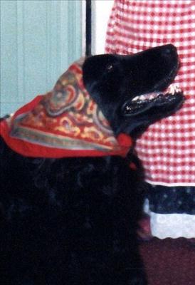 05 - Kopia.jpg