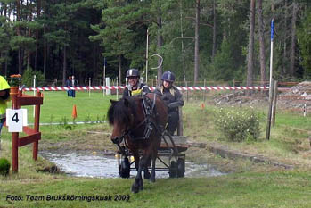 Pawik291BruksDM-09.jpg